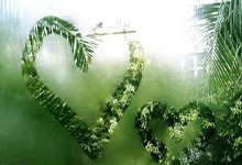 印度最干净的地方，竟然是这样的一个村庄 